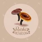 Ganoderma Lucidum